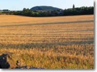 East Linton fields