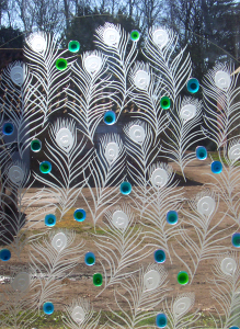 Anita Pate glass