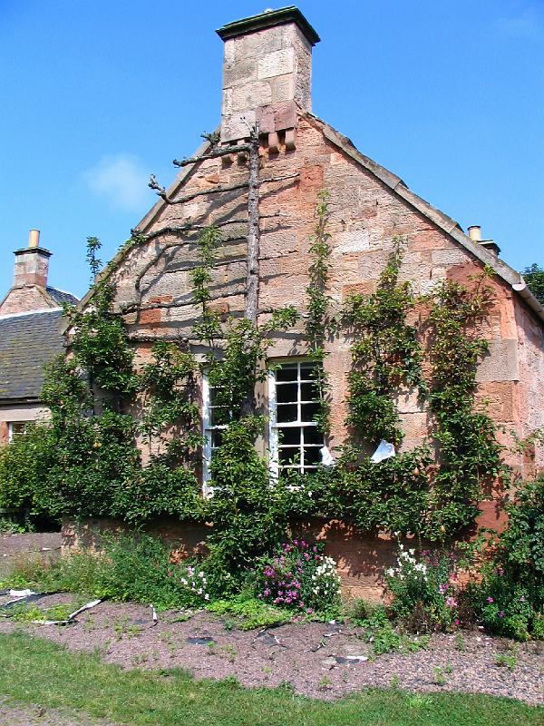 Tyninghame - Pear Cottage.JPG
