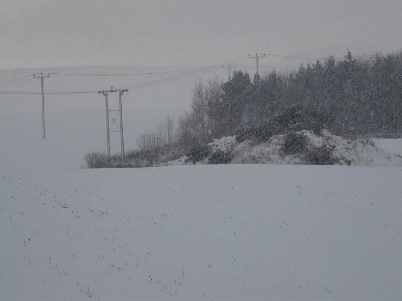 P1180254.JPG - Blizzard above Markle - Alastair Seagroatt