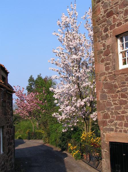 Mill Wynd.JPG
