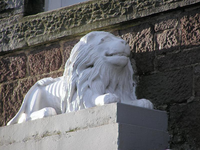 The Happy Lion.JPG