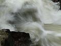 Linn wave