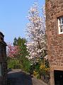 Mill Wynd