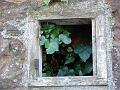 Peeping through