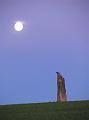Pencraig Standing Stone