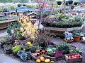 Smeaton Display