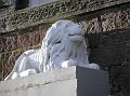 The Happy Lion